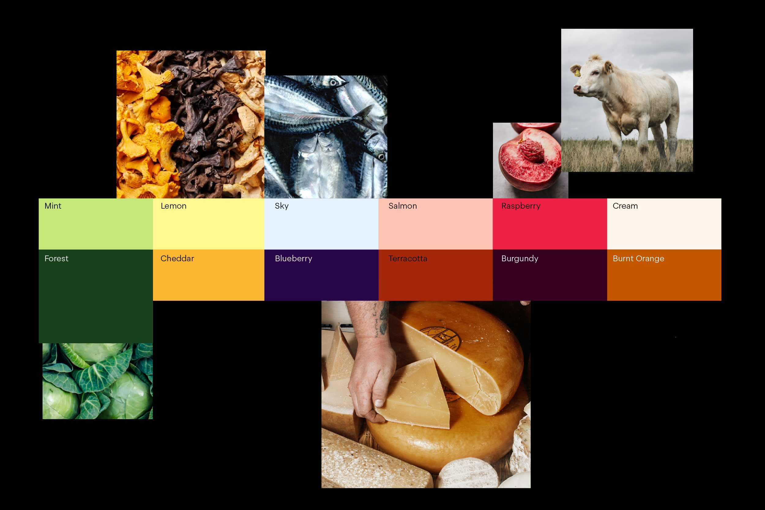 LR Header Big 02 1200x800